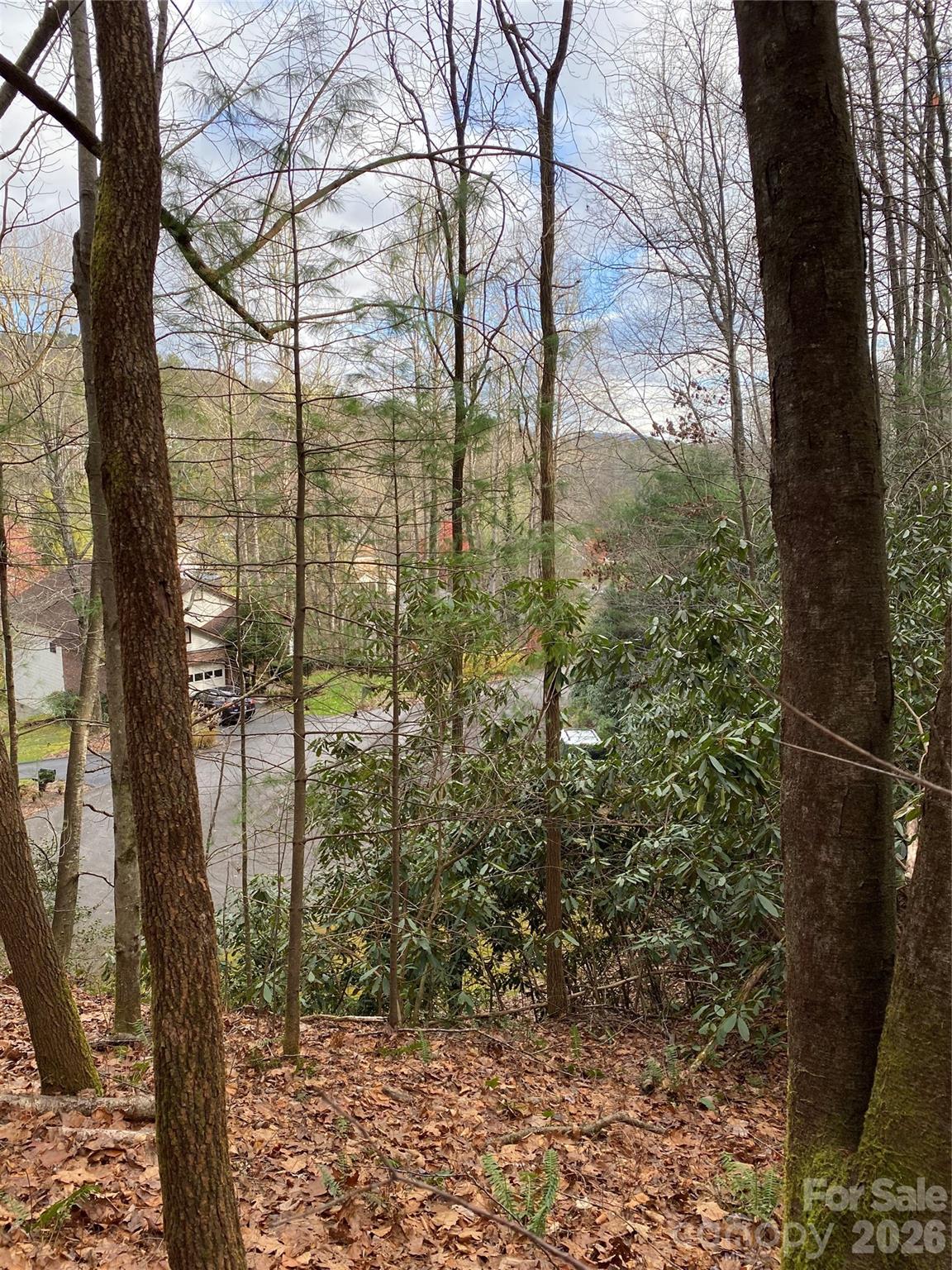 000 Waterford Place Brevard NC 28712