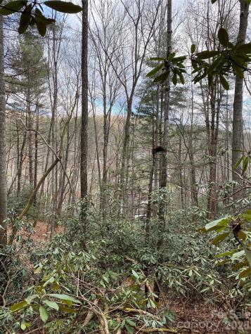 000 Waterford Place Brevard NC 28712
