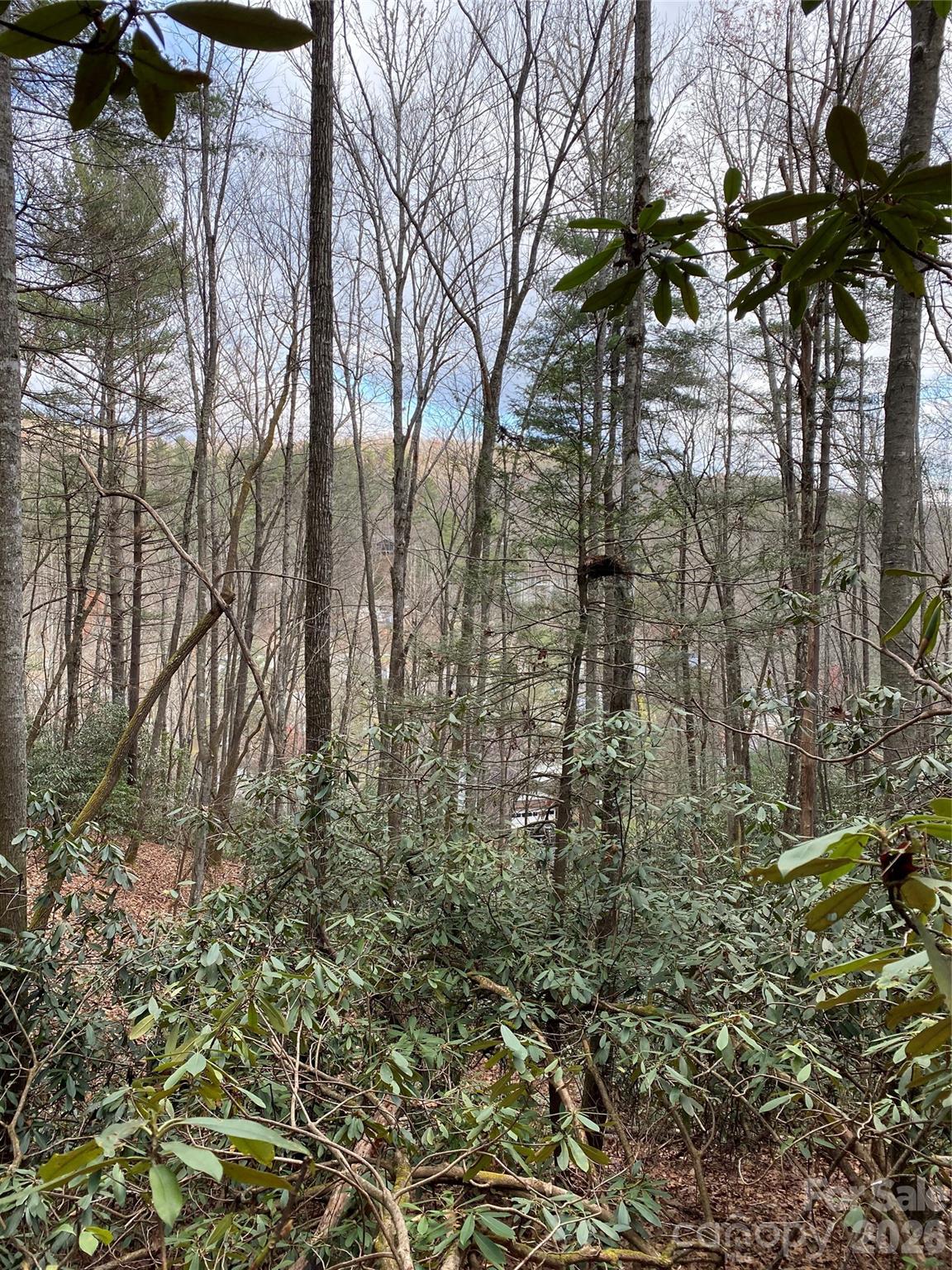 000 Waterford Place Brevard NC 28712