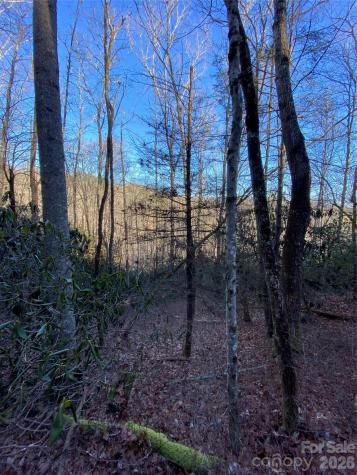 000 Waterford Place Brevard NC 28712