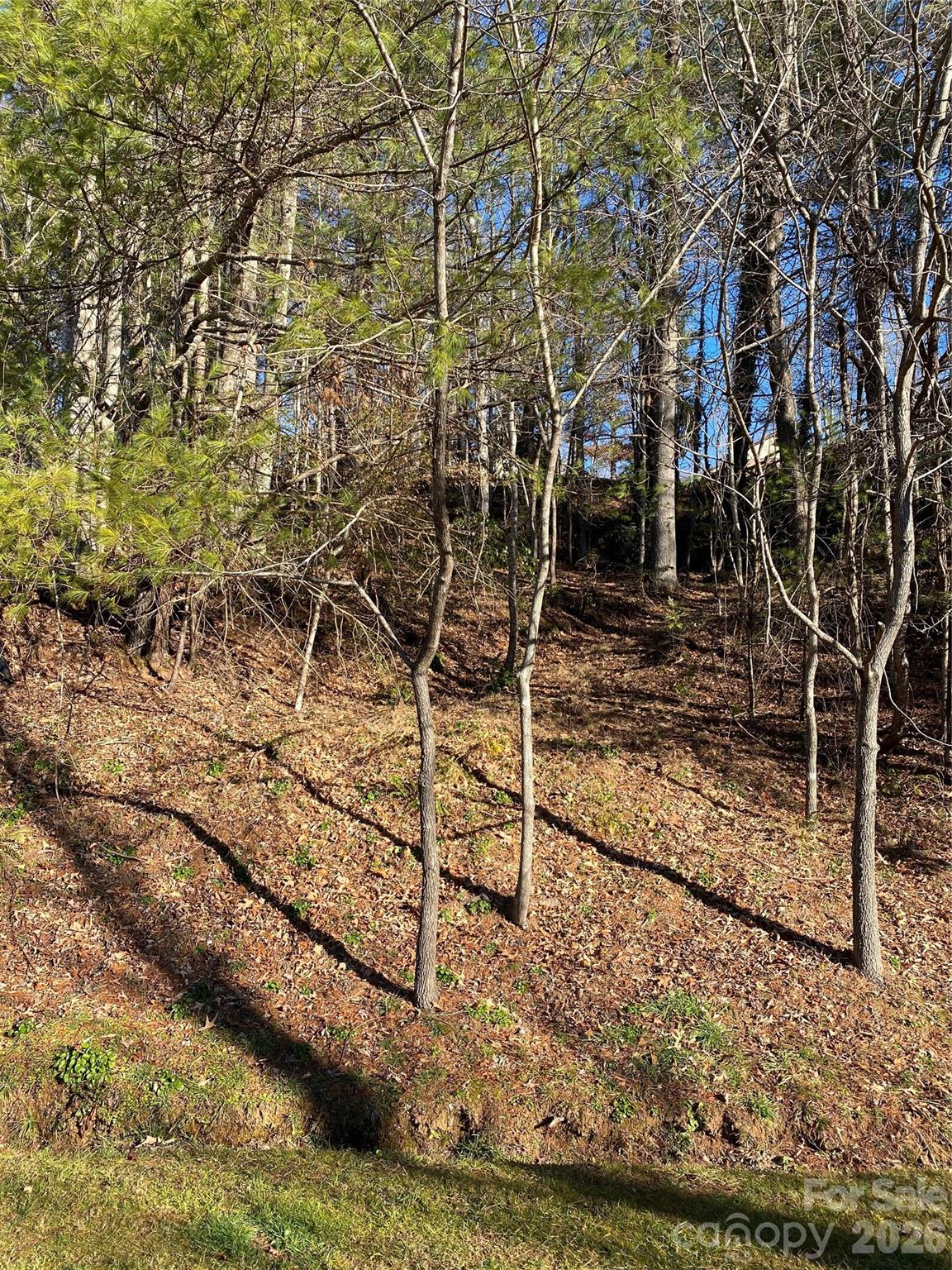 000 Waterford Place Brevard NC 28712