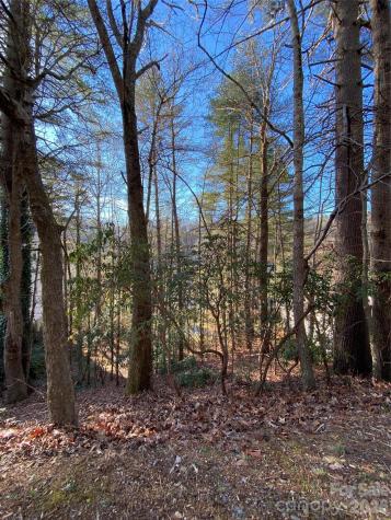 000 Waterford Place Brevard NC 28712