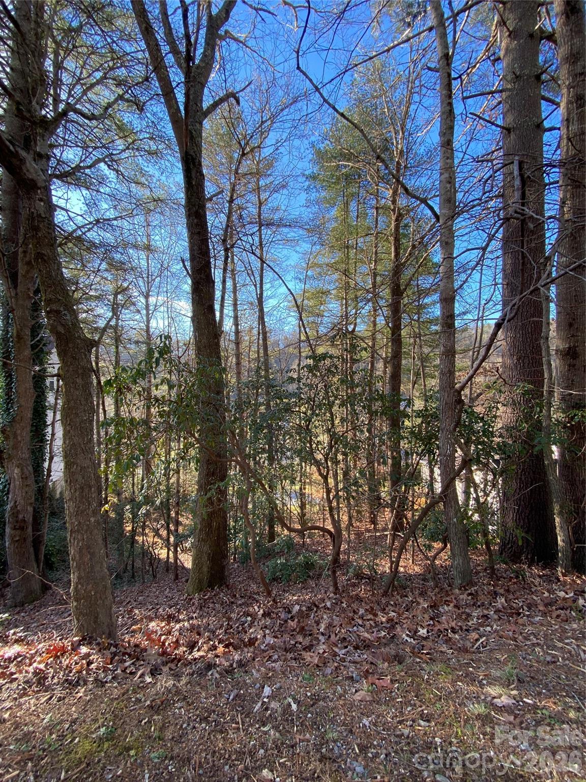 000 Waterford Place Brevard NC 28712