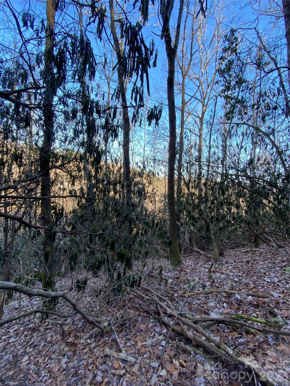 000 Waterford Place Brevard NC 28712