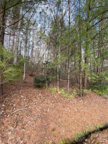 000 Waterford Place Brevard NC 28712