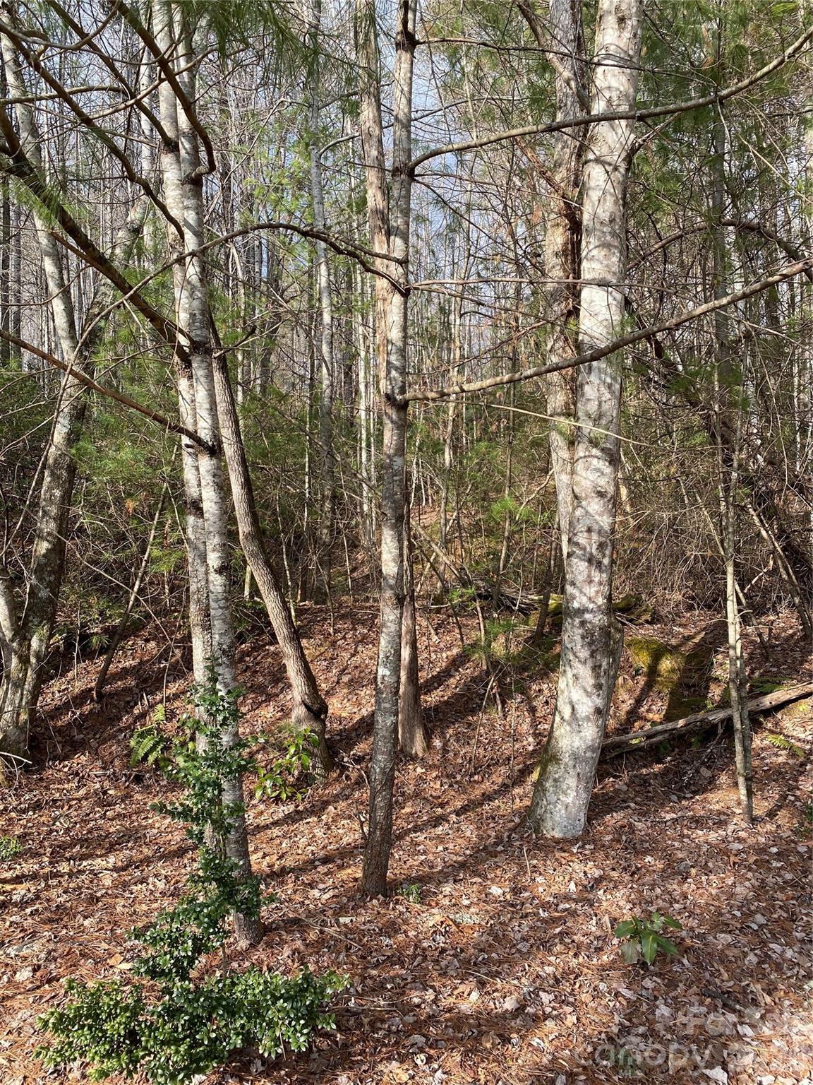 000 Waterford Place Brevard NC 28712