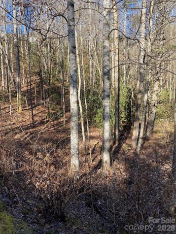 000 Waterford Place Brevard NC 28712