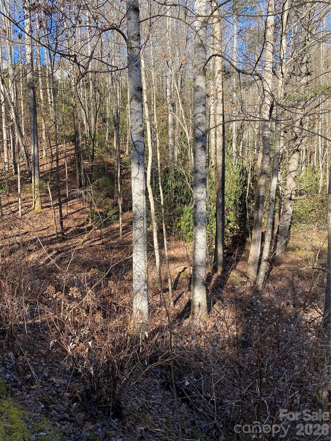 000 Waterford Place Brevard NC 28712