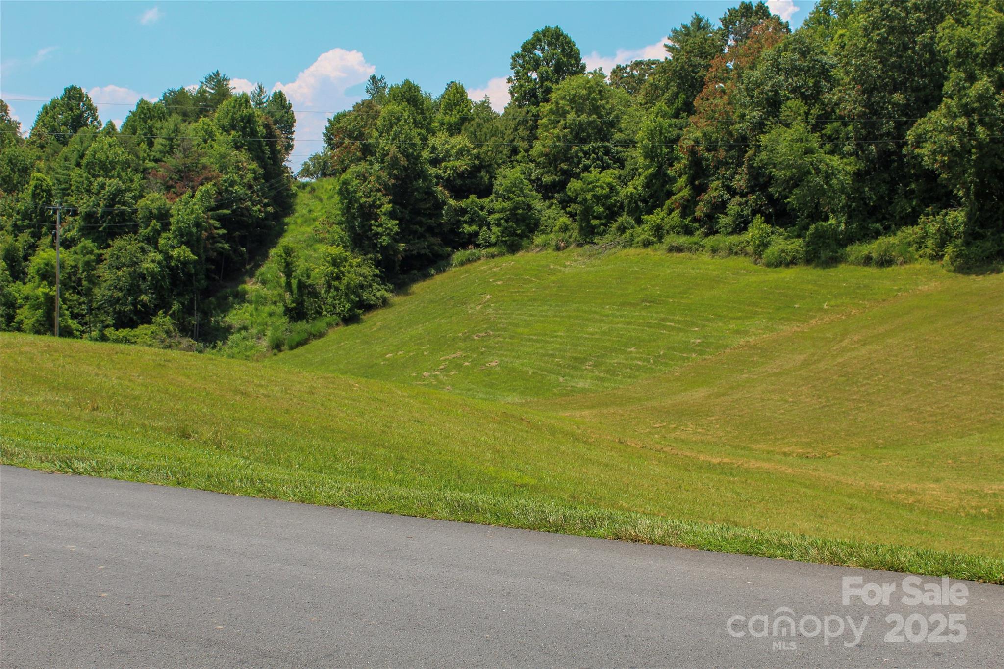 9999 Settlers Trail Mars Hill NC 28754