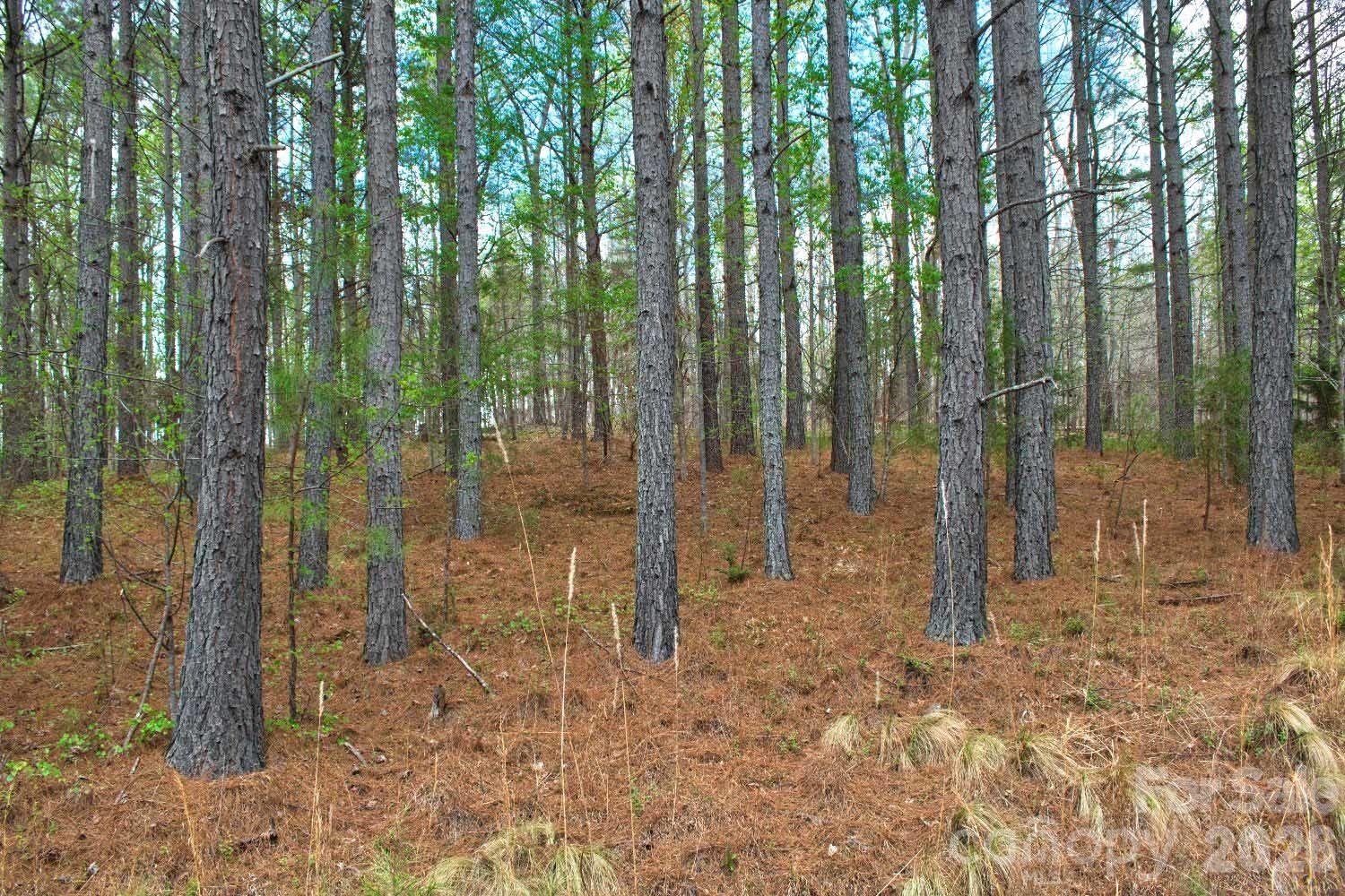0 Clearwater Parkway Rutherfordton NC 28139