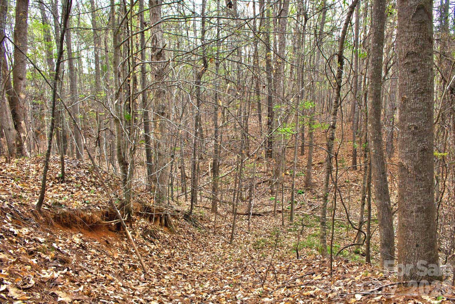 0 Clearwater Parkway Rutherfordton NC 28139