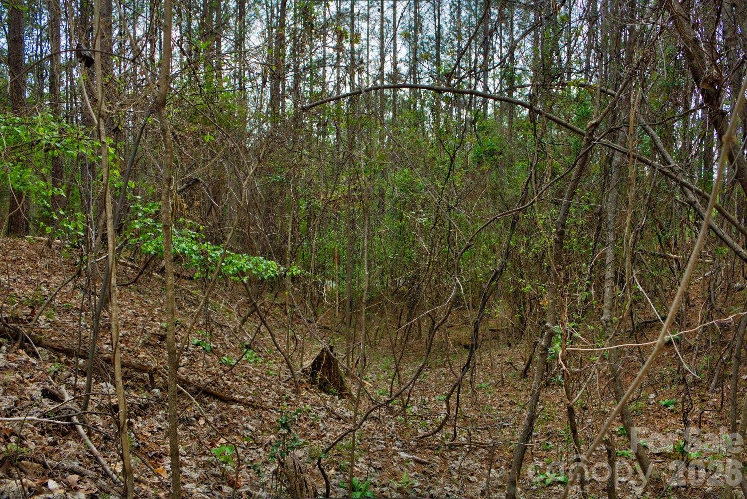 0 Clearwater Parkway Rutherfordton NC 28139