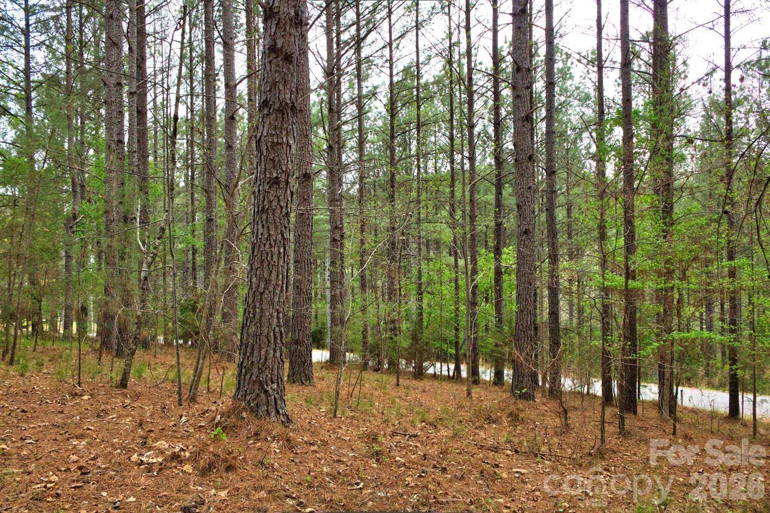 0 Clearwater Parkway Rutherfordton NC 28139