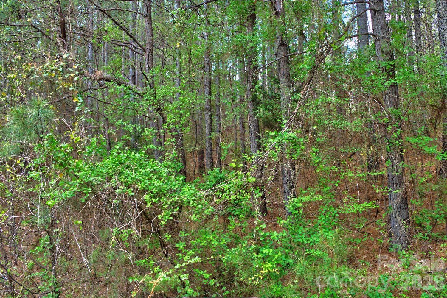 0 Clearwater Parkway Rutherfordton NC 28139