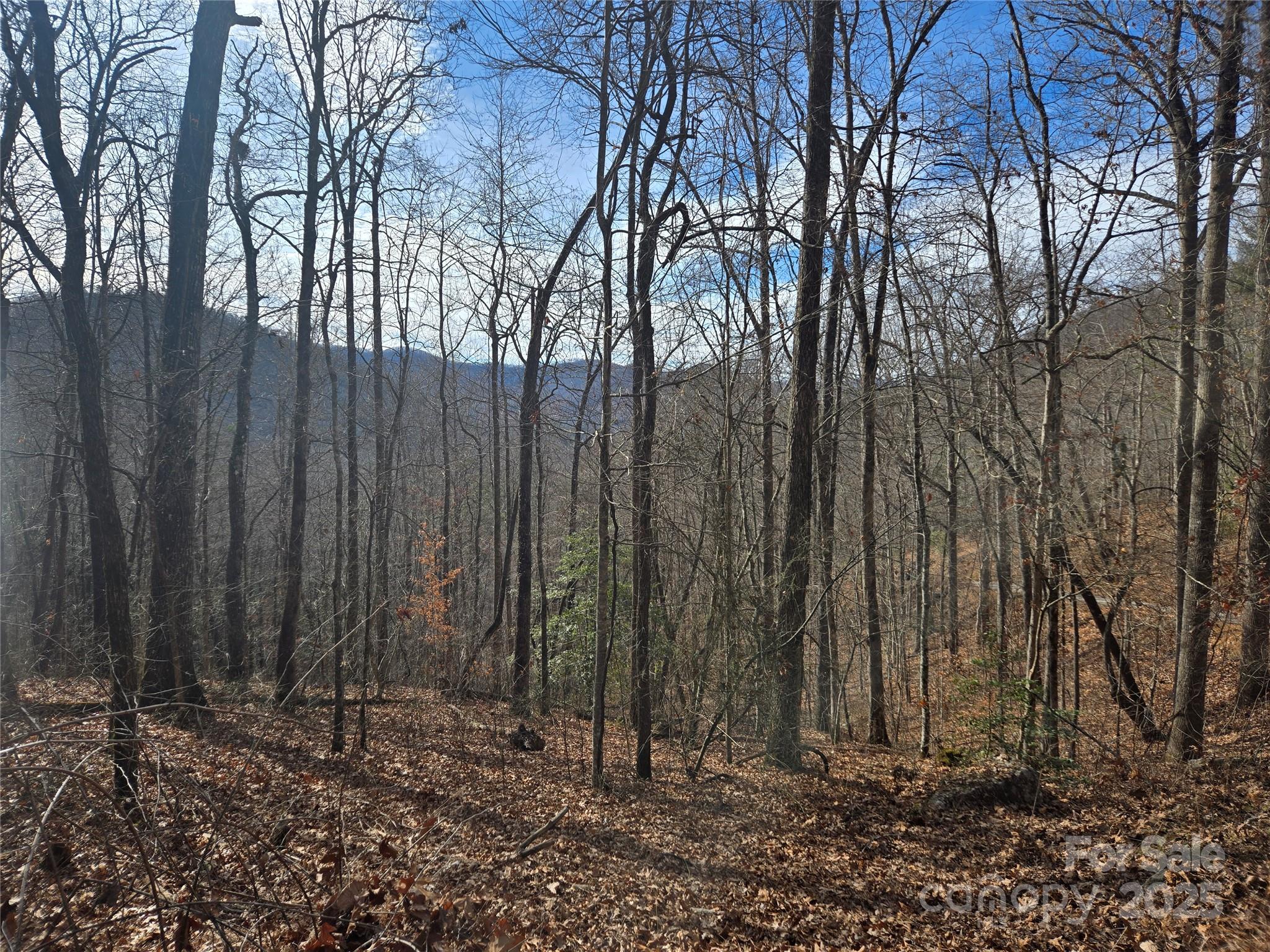 000 Stone Pillow Road Tuckasegee NC 28783