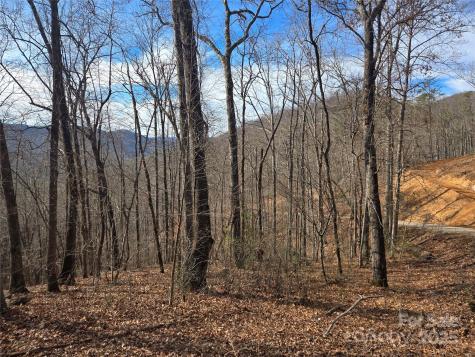000 Stone Pillow Road Tuckasegee NC 28783