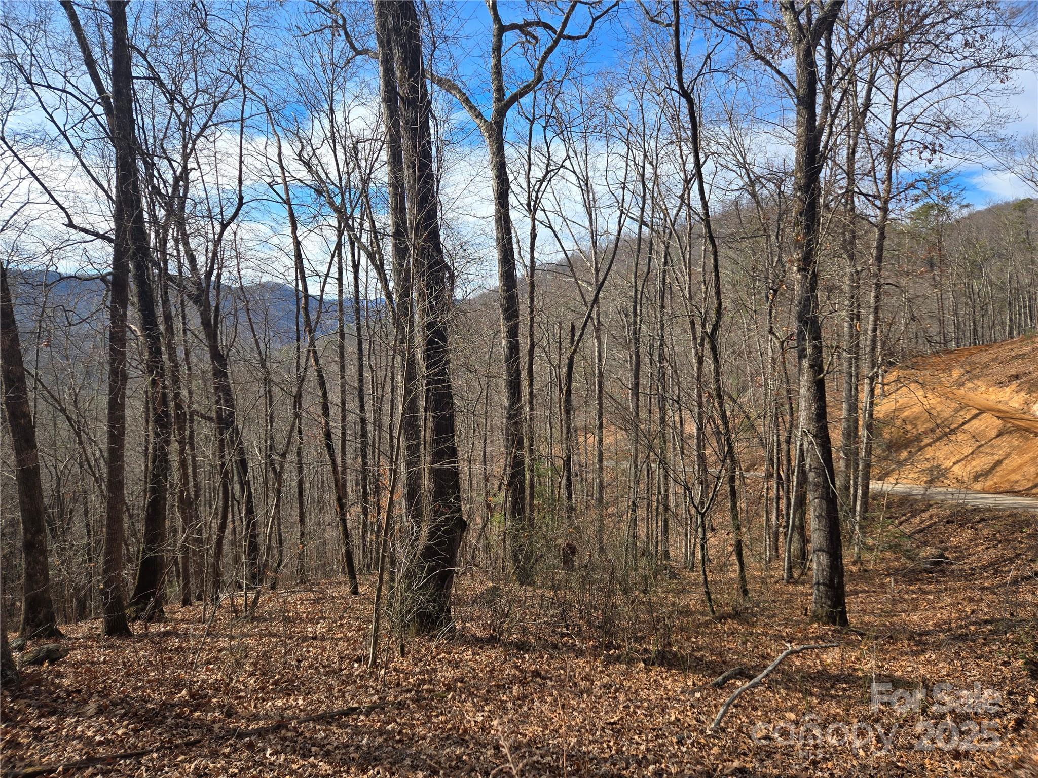000 Stone Pillow Road Tuckasegee NC 28783
