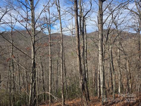 000 Stone Pillow Road Tuckasegee NC 28783