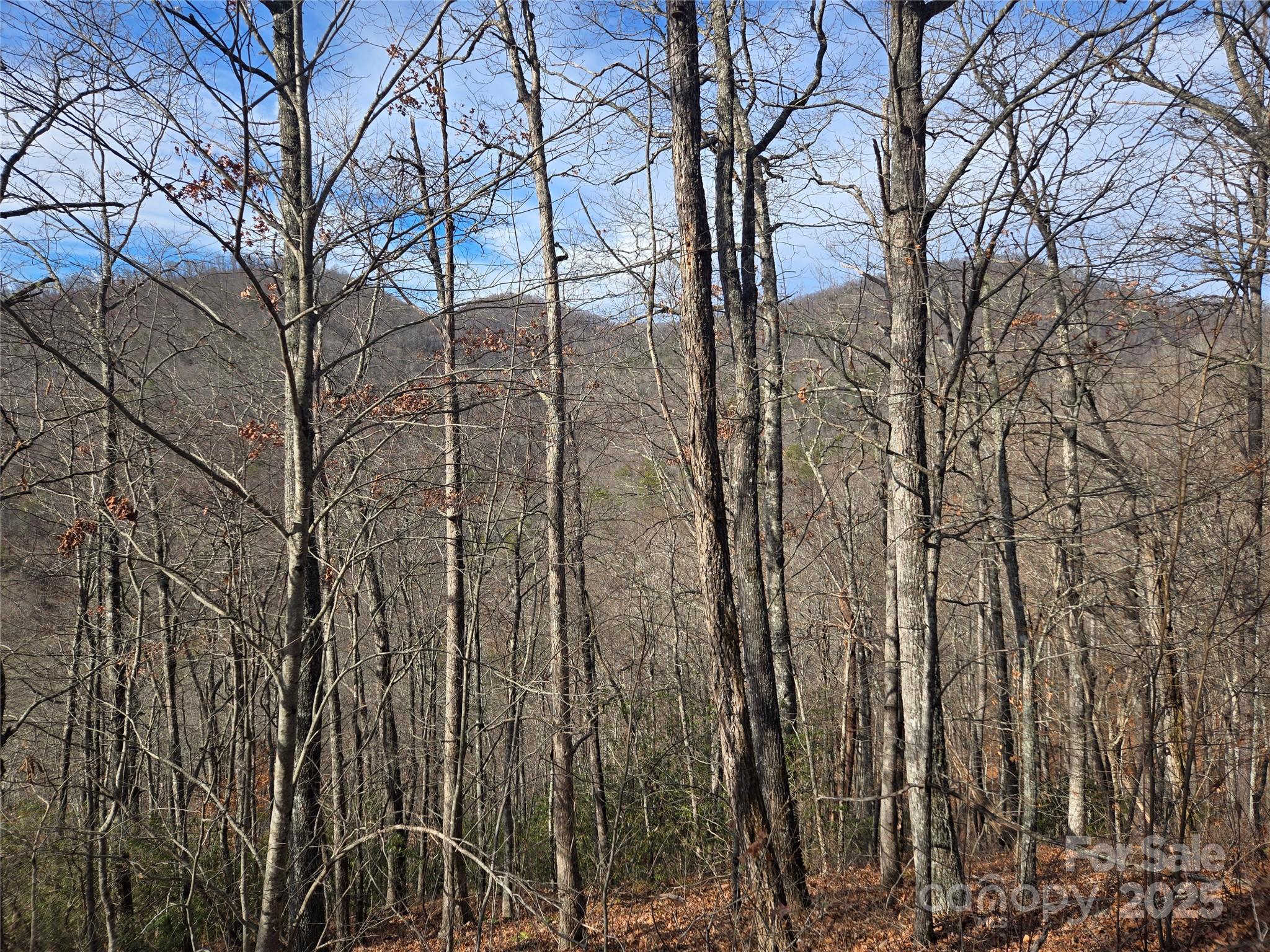 000 Stone Pillow Road Tuckasegee NC 28783