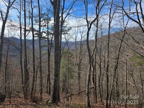 000 Stone Pillow Road Tuckasegee NC 28783