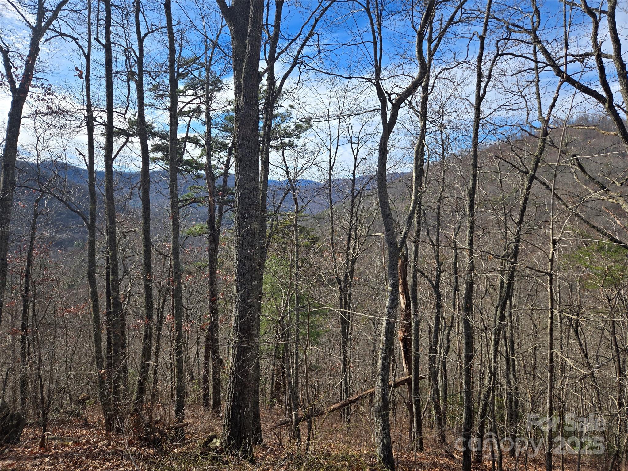 000 Stone Pillow Road Tuckasegee NC 28783