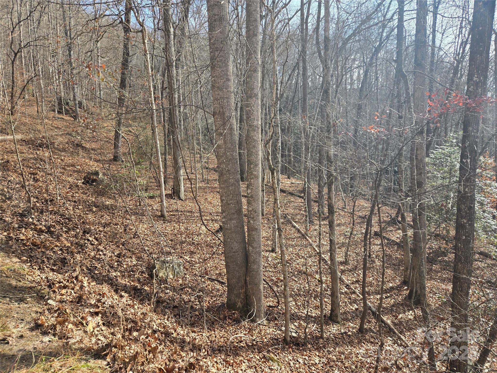 000 Stone Pillow Road Tuckasegee NC 28783