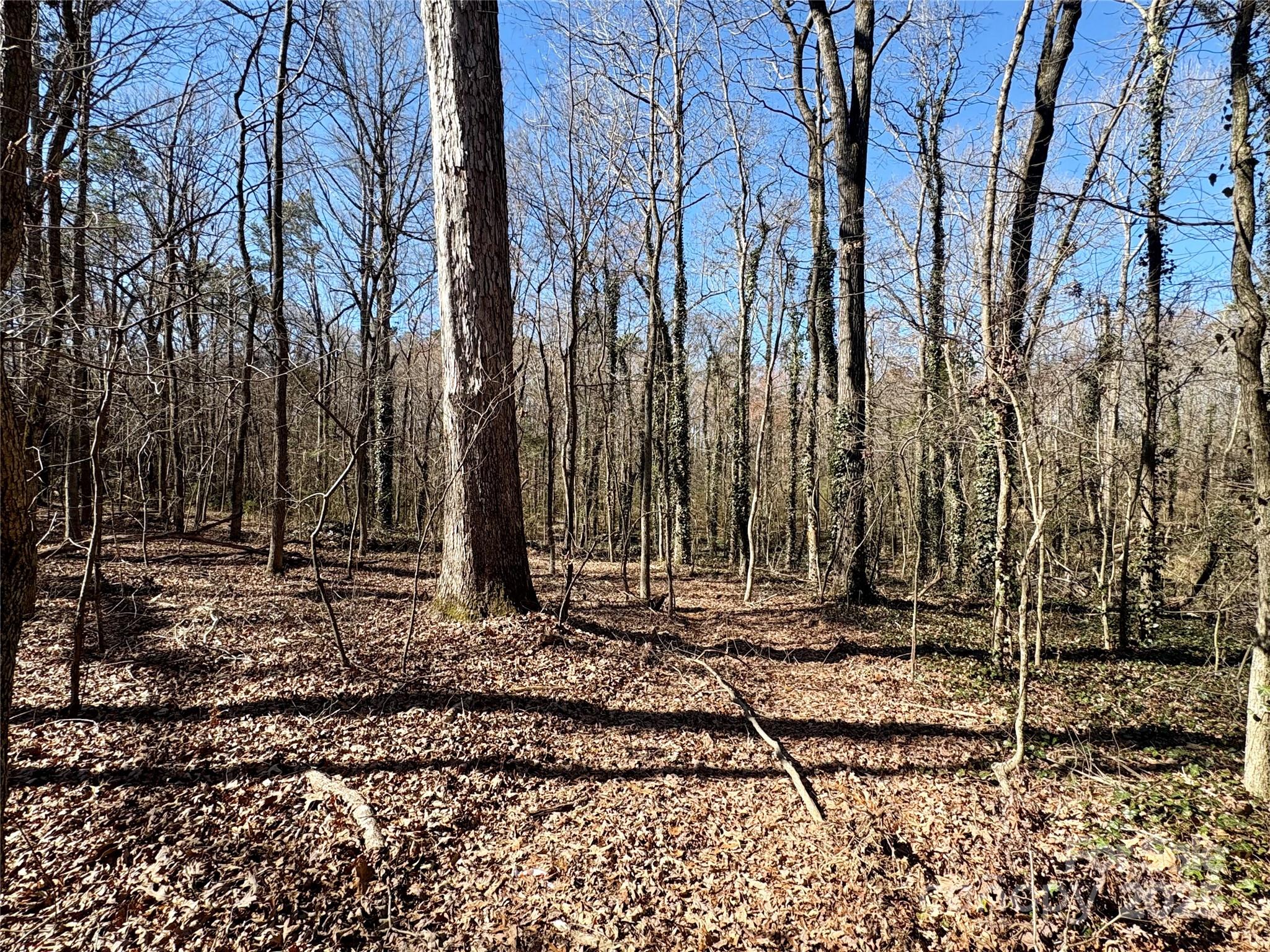 1417 Ellis Griffin Road Wingate NC 28174