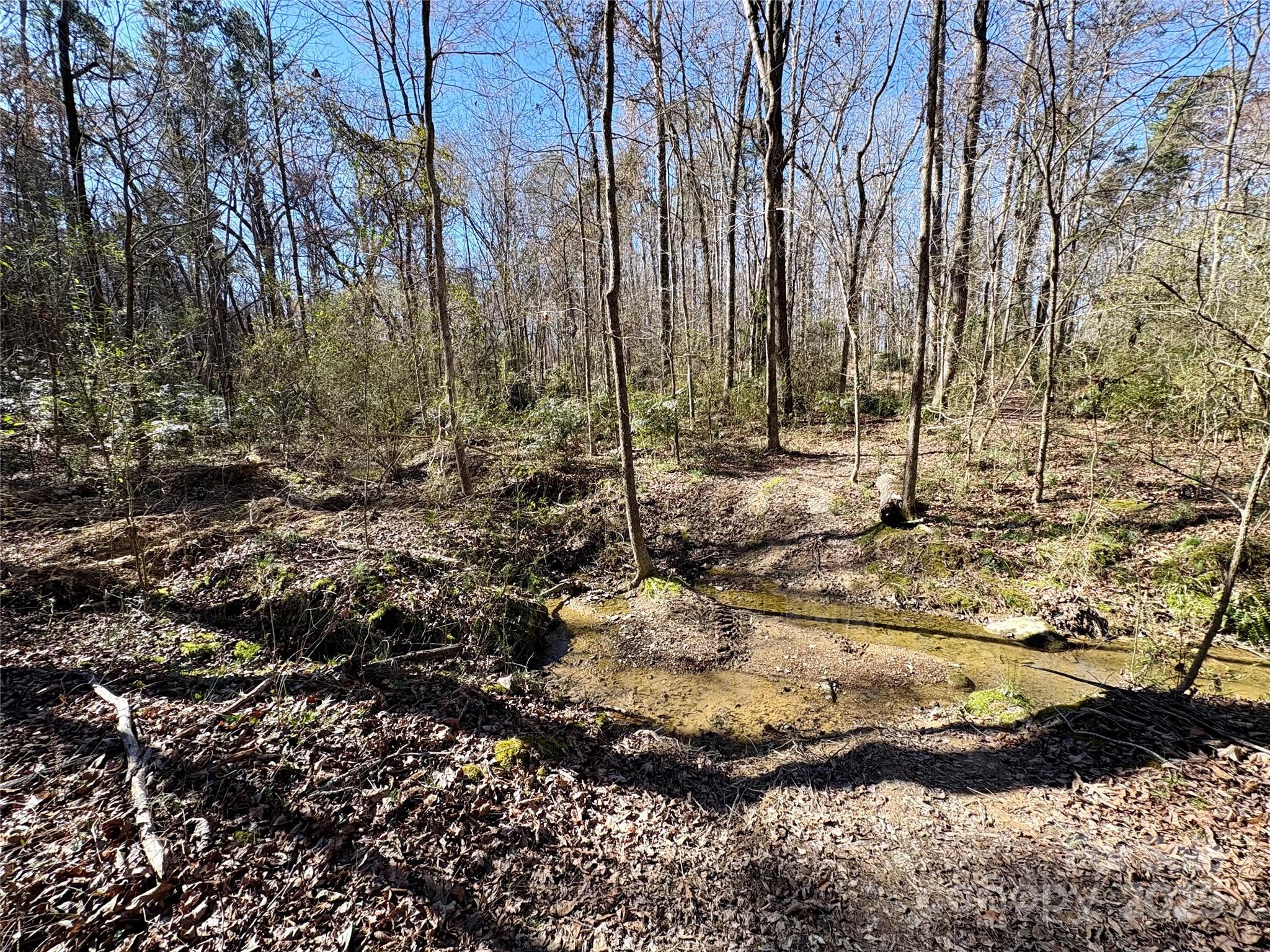 1417 Ellis Griffin Road Wingate NC 28174