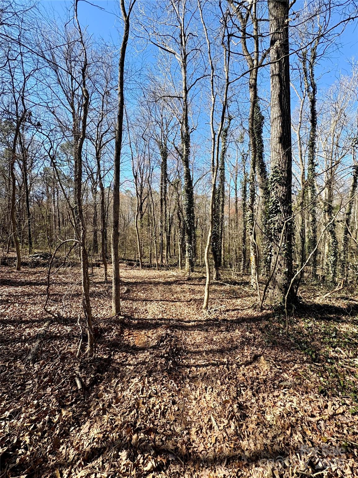 1417 Ellis Griffin Road Wingate NC 28174