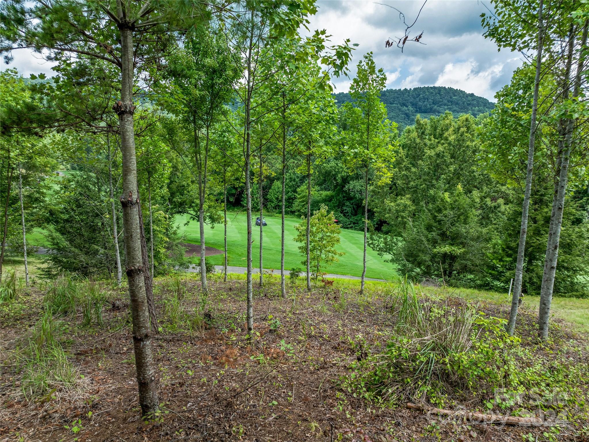 1822 Bella Vista Court Arden NC 28704