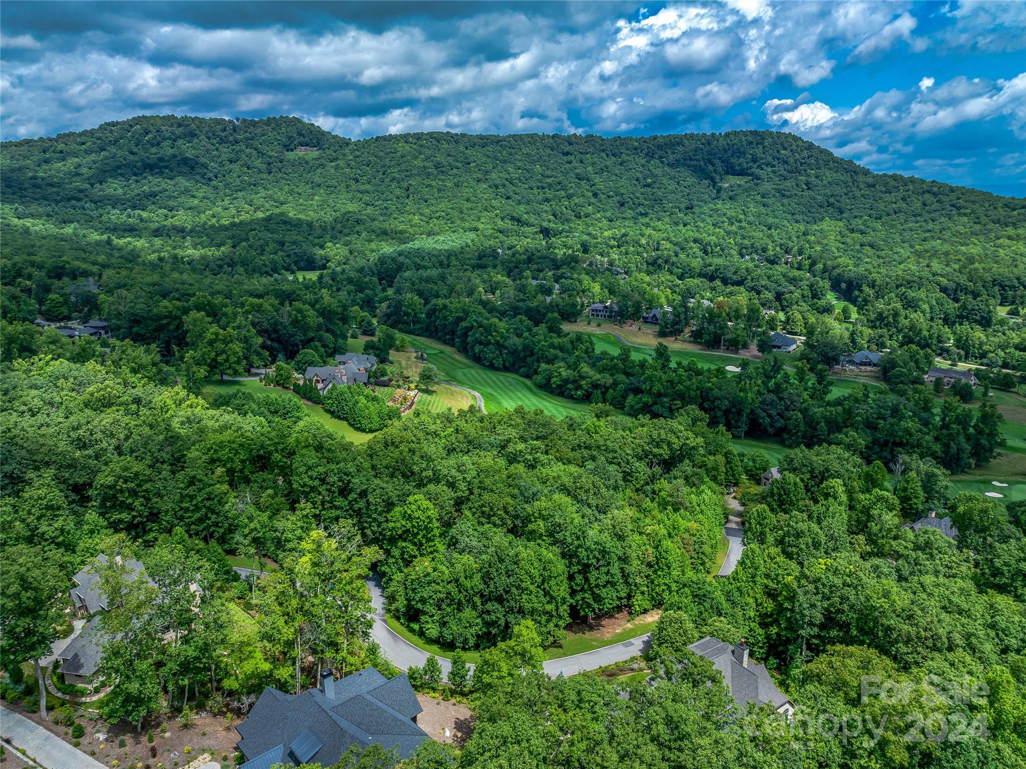 1822 Bella Vista Court Arden NC 28704