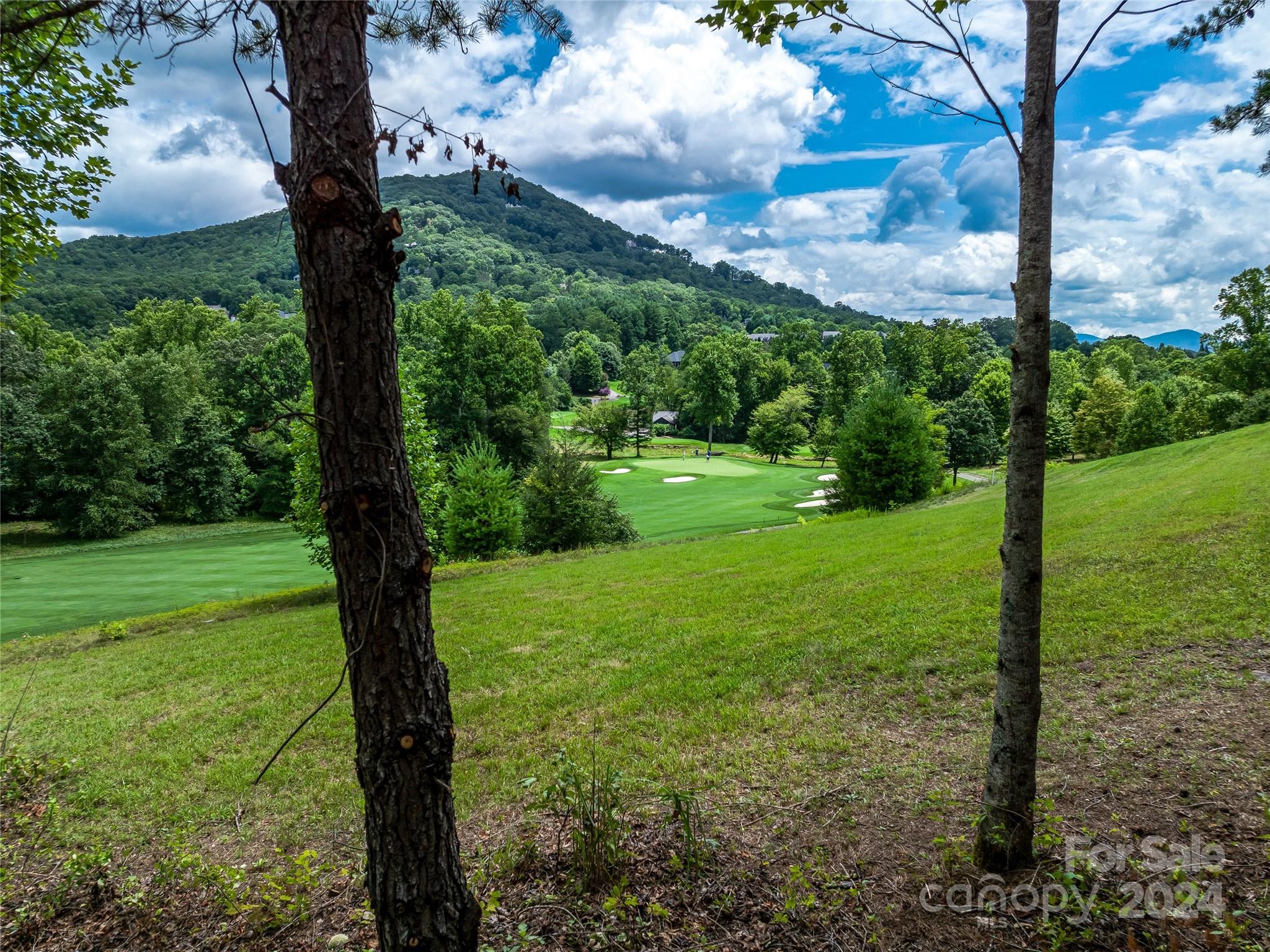 1822 Bella Vista Court Arden NC 28704