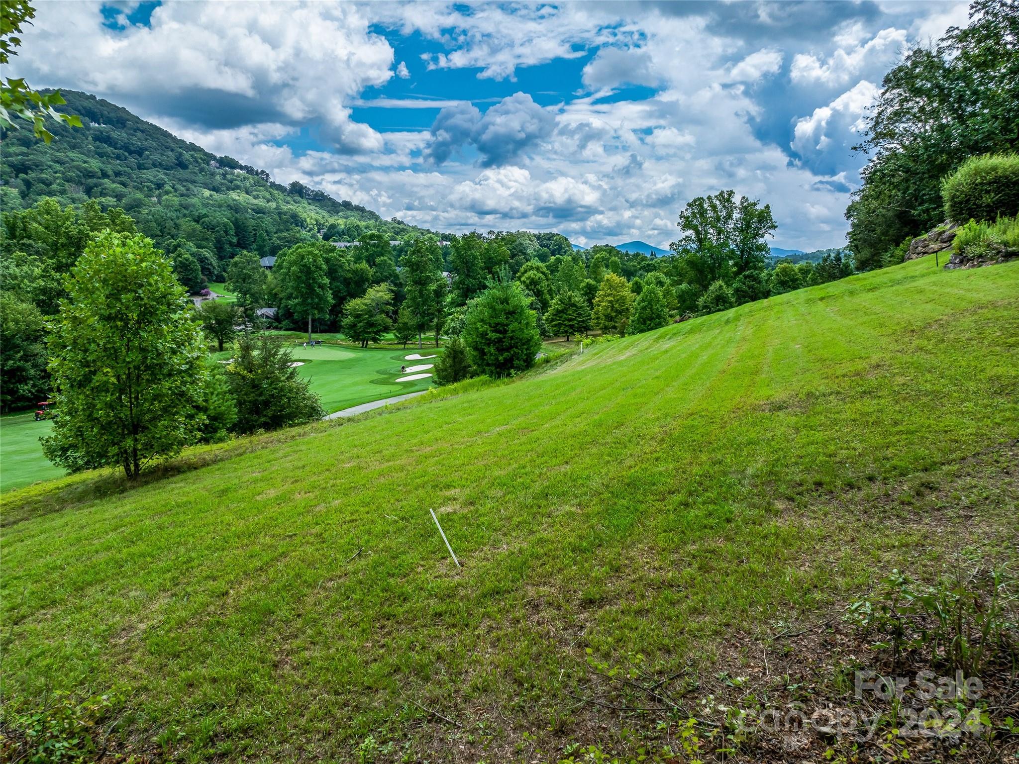 1822 Bella Vista Court Arden NC 28704