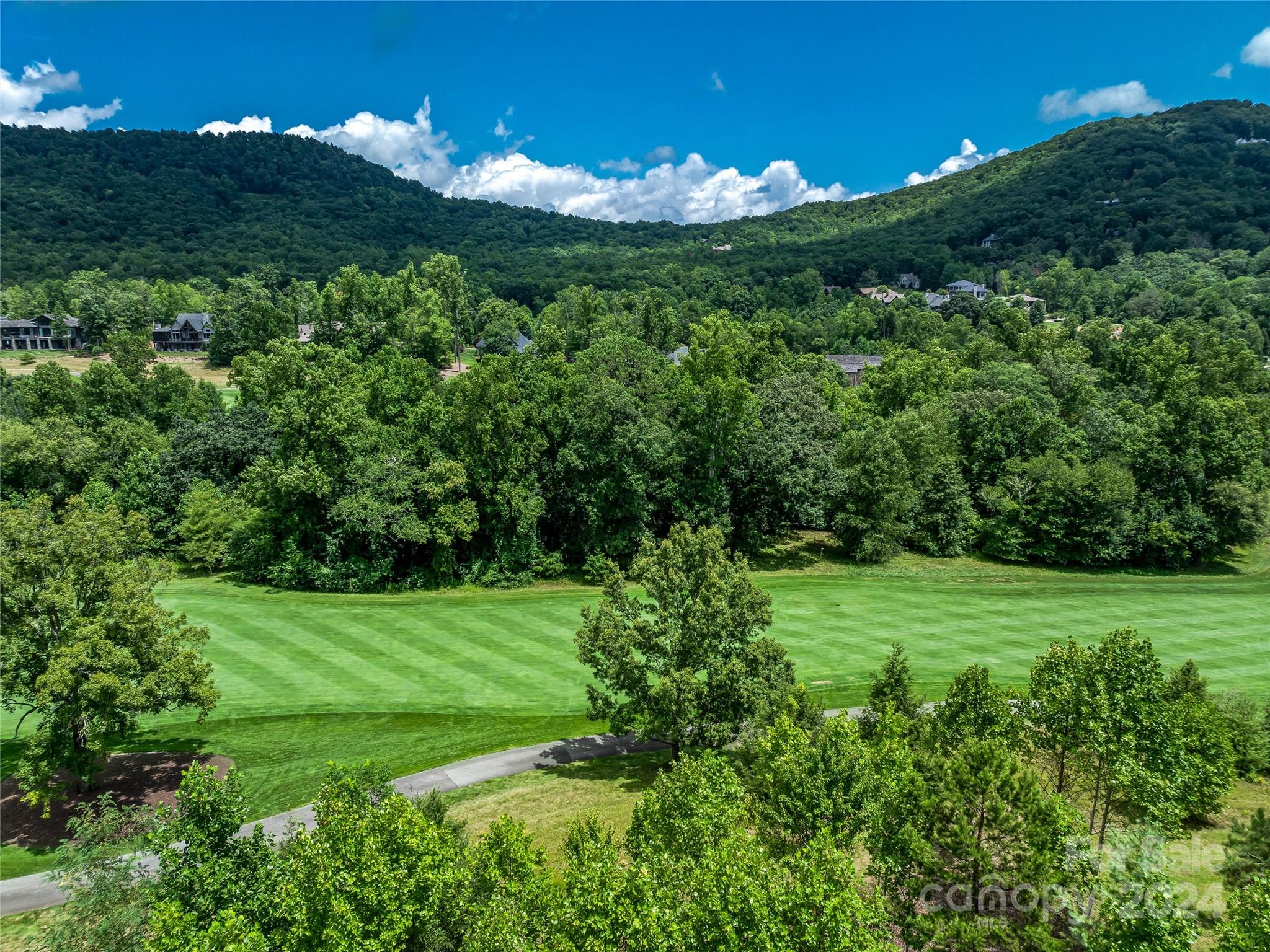 1822 Bella Vista Court Arden NC 28704