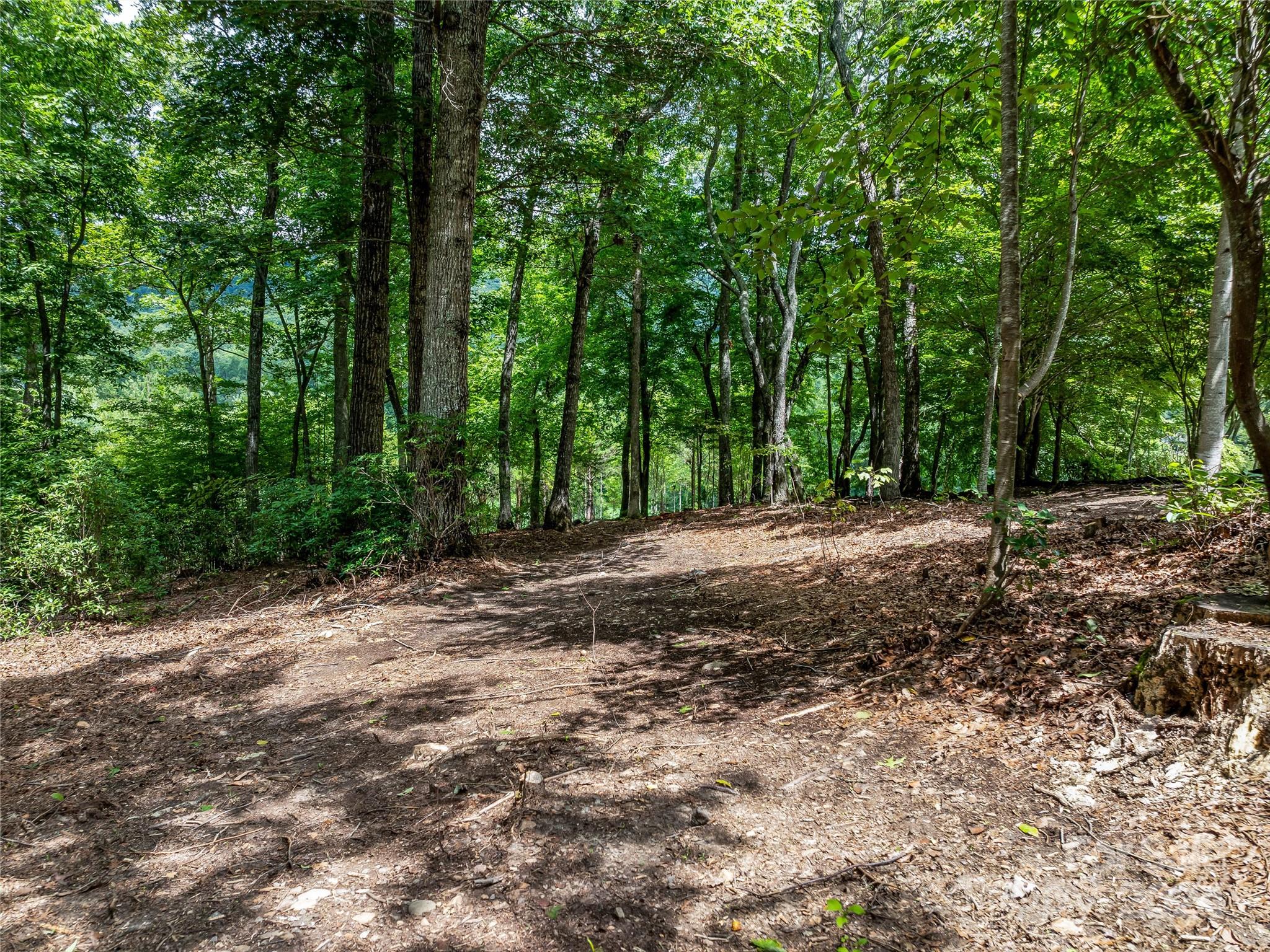 1822 Bella Vista Court Arden NC 28704
