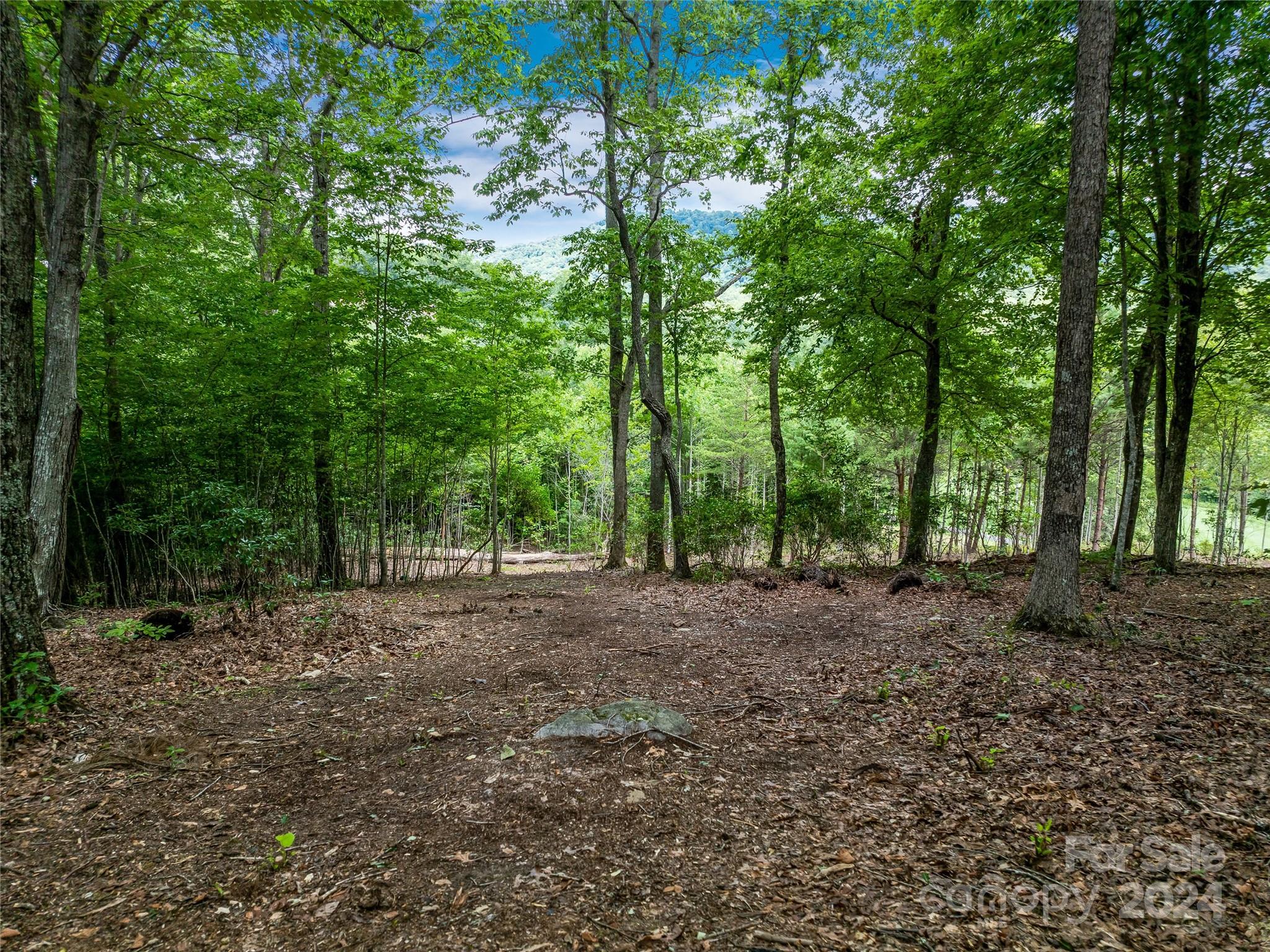 1822 Bella Vista Court Arden NC 28704