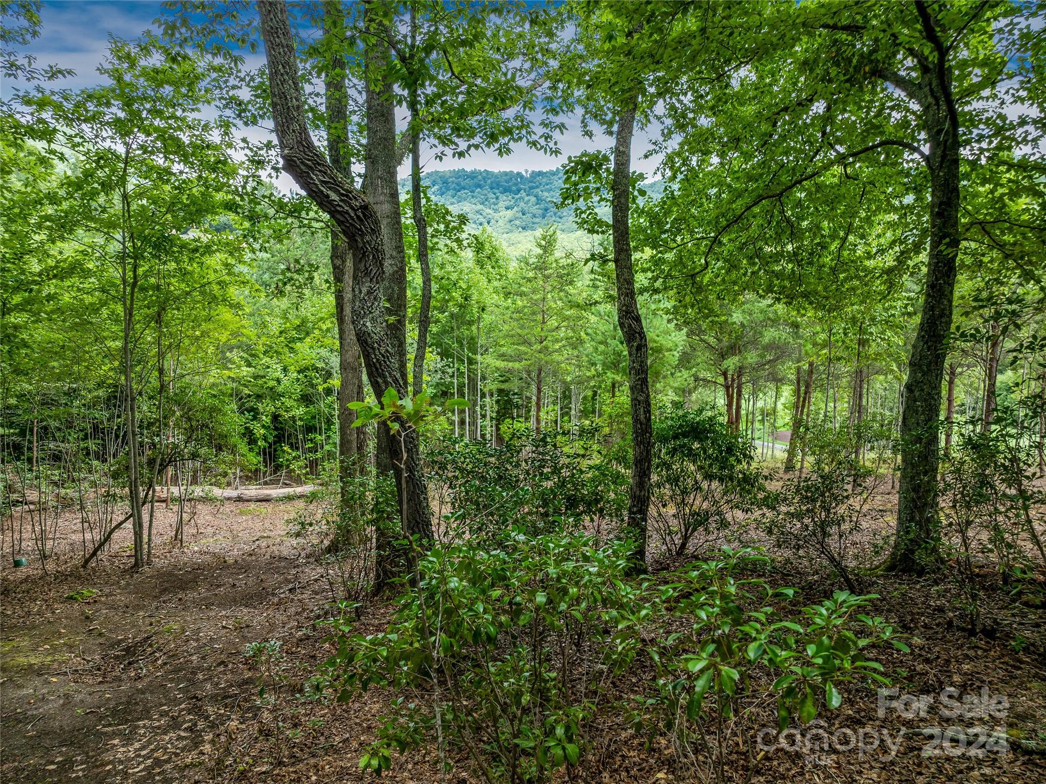 1822 Bella Vista Court Arden NC 28704