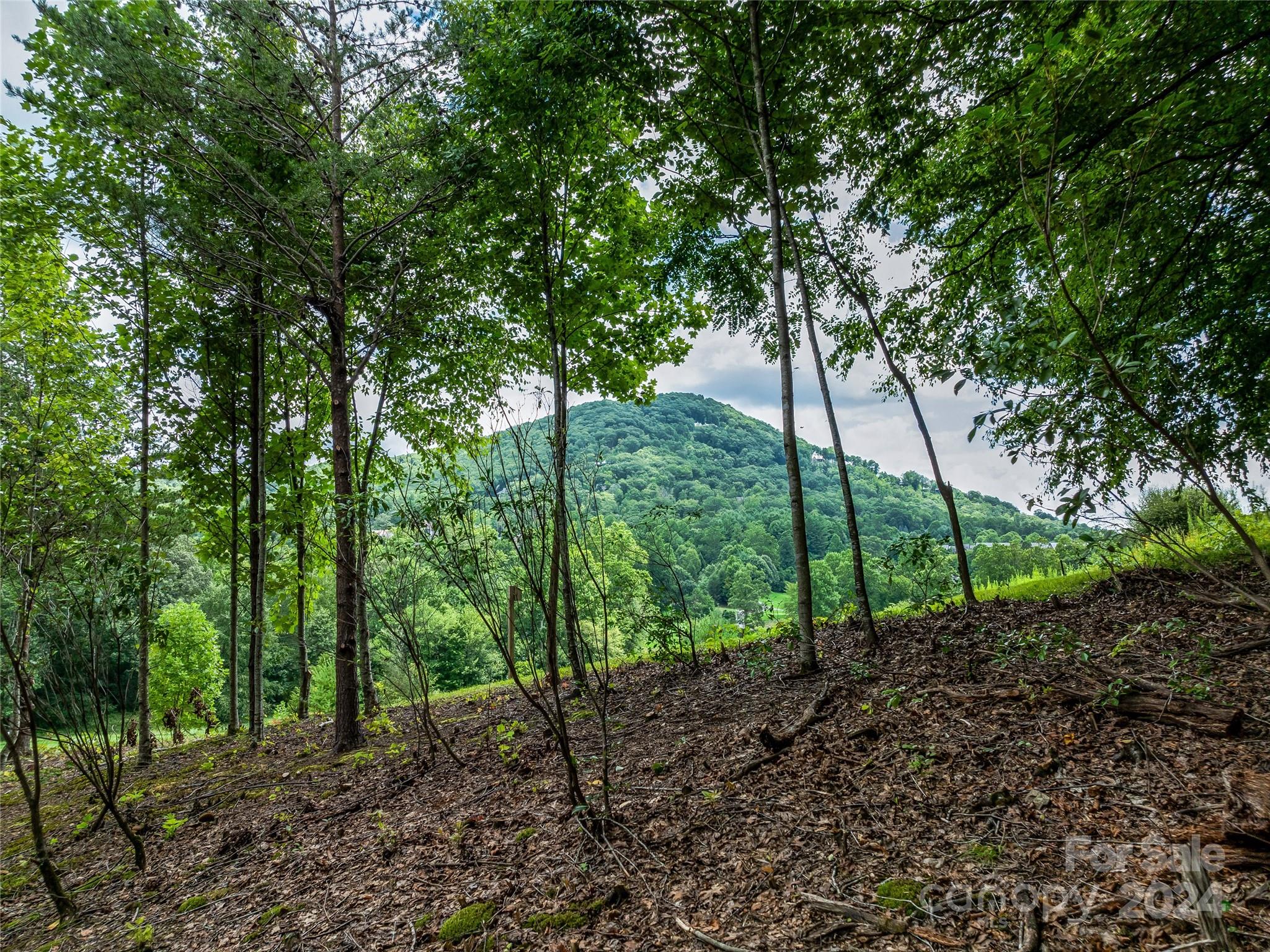1822 Bella Vista Court Arden NC 28704