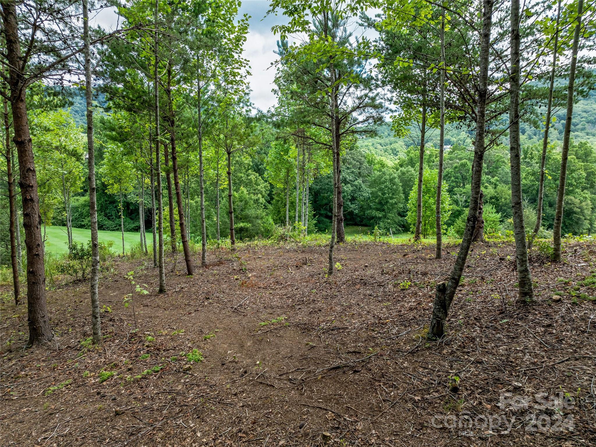 1822 Bella Vista Court Arden NC 28704