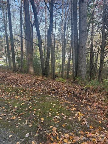 Bl-a Club House Court Brevard NC 28712