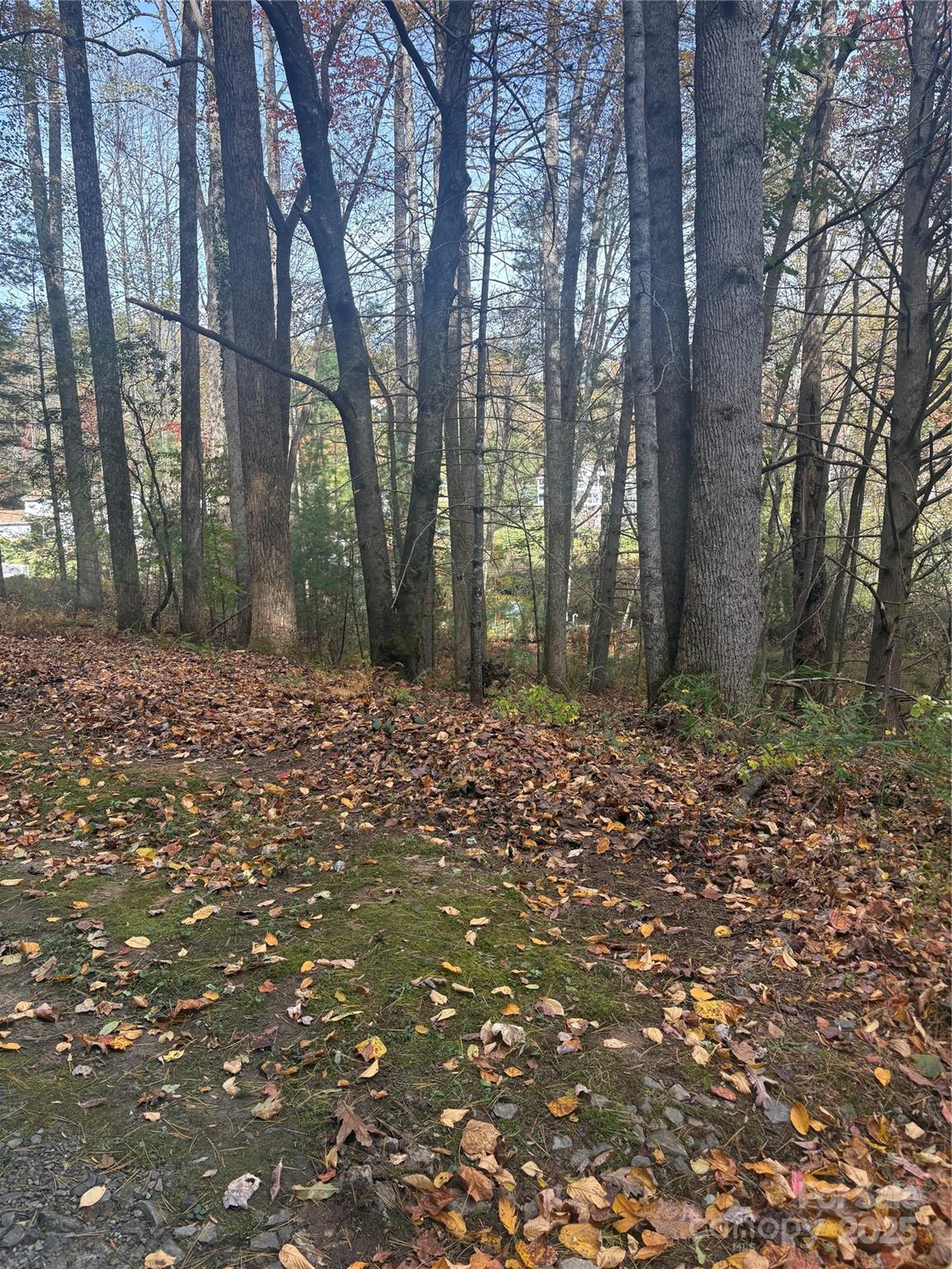 Bl-a Club House Court Brevard NC 28712