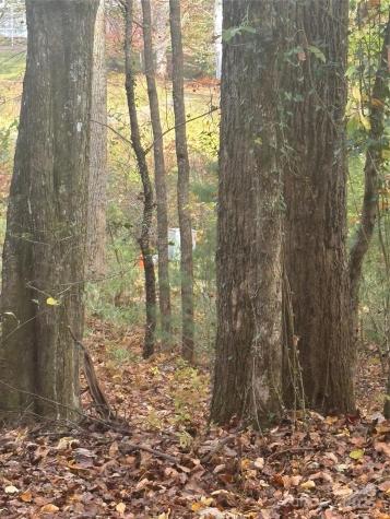 Bl-a Club House Court Brevard NC 28712
