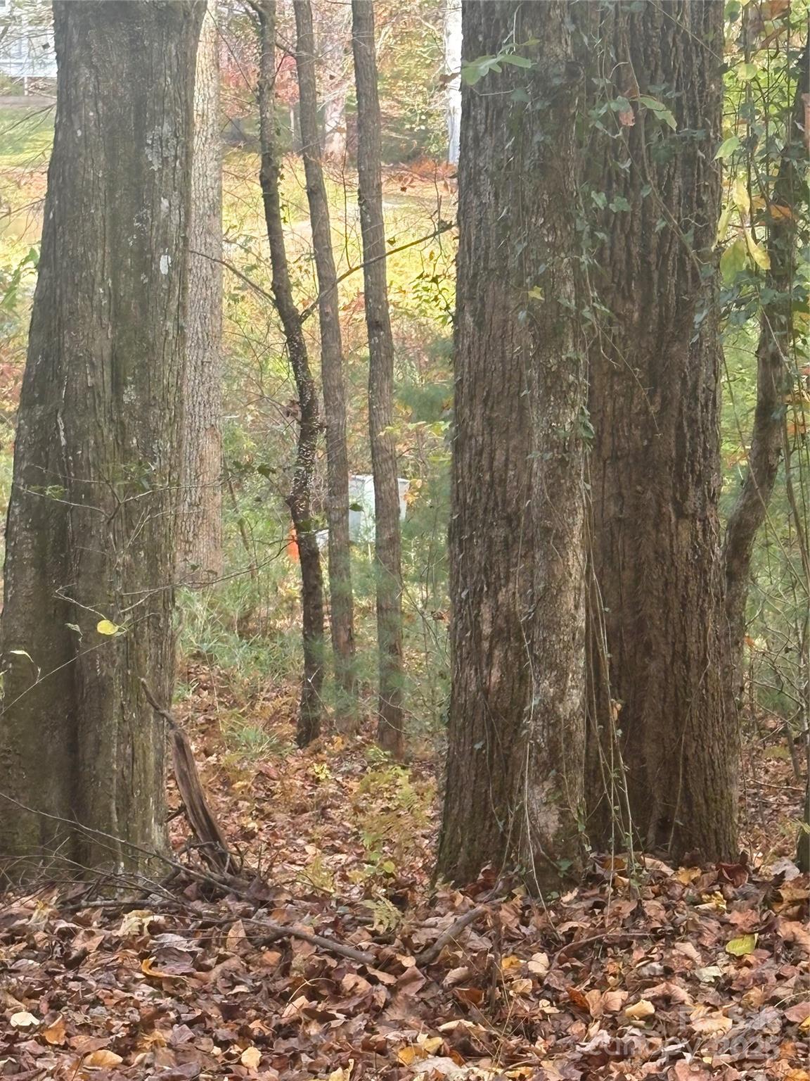 Bl-a Club House Court Brevard NC 28712