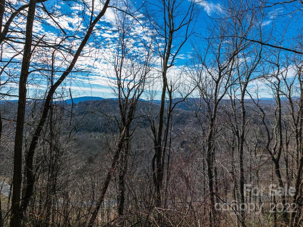 10F Red Bud Lane Laurel Park NC 28739