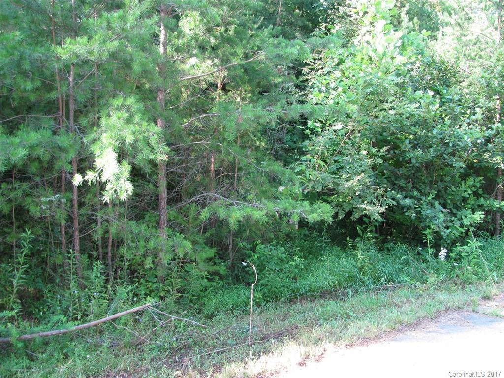 59 Country Cove Court Leicester NC 28748