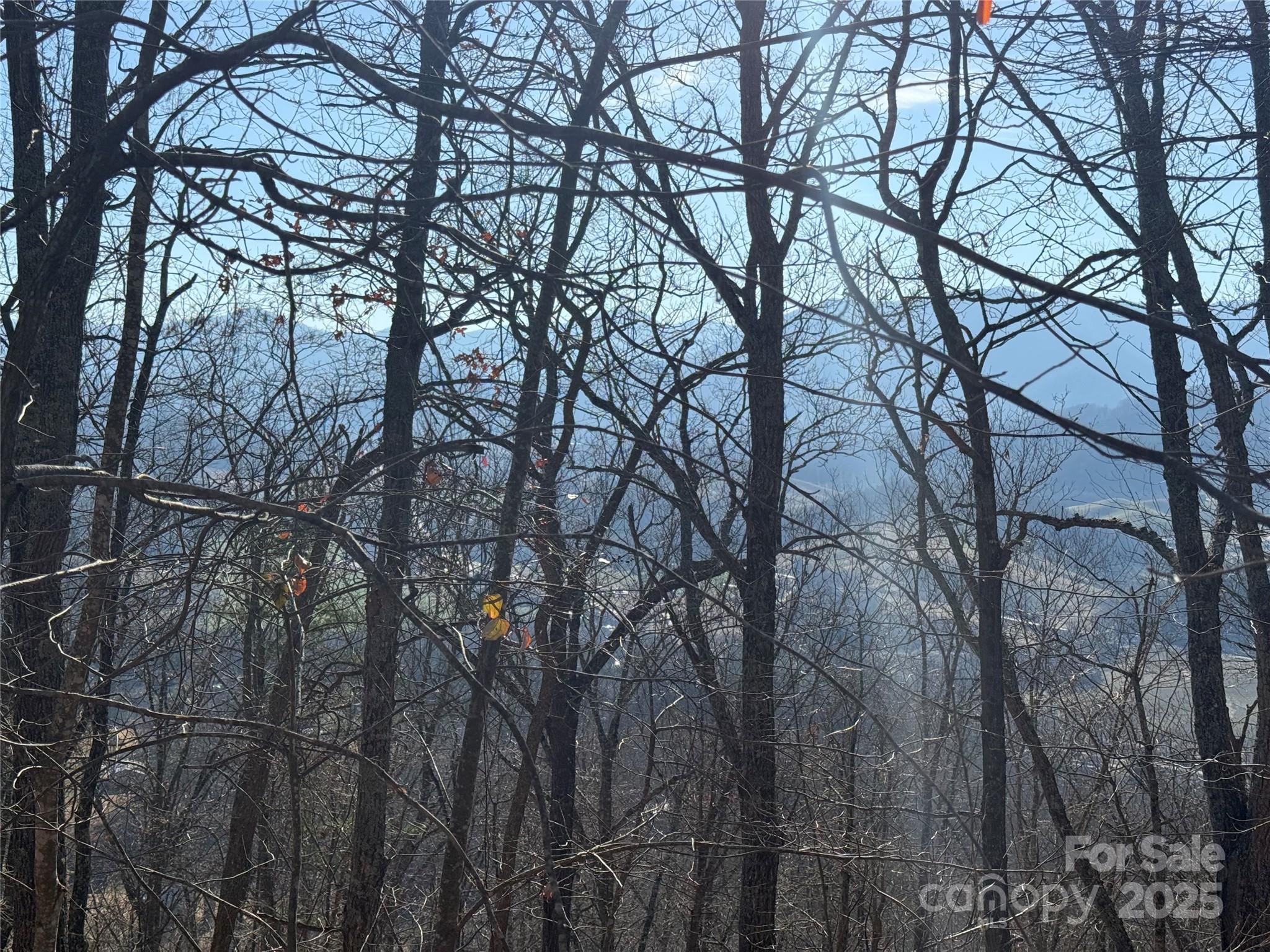 22,23,28 Brer Rabbit Trail Waynesville NC 28785
