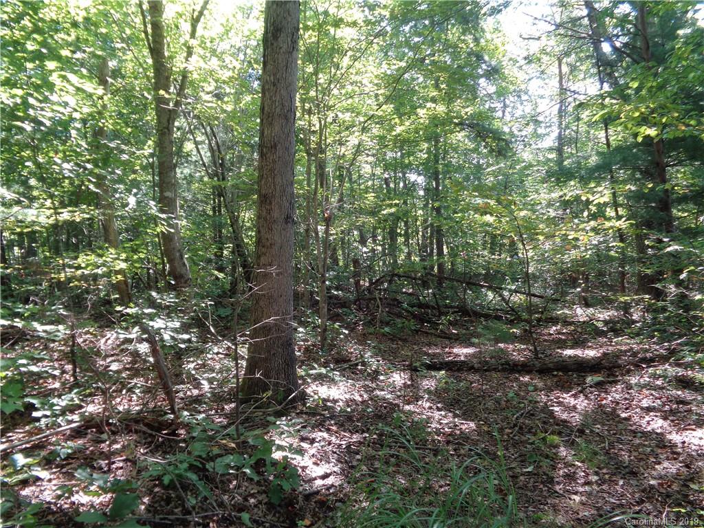 51 Morning Star Drive Leicester NC 28748