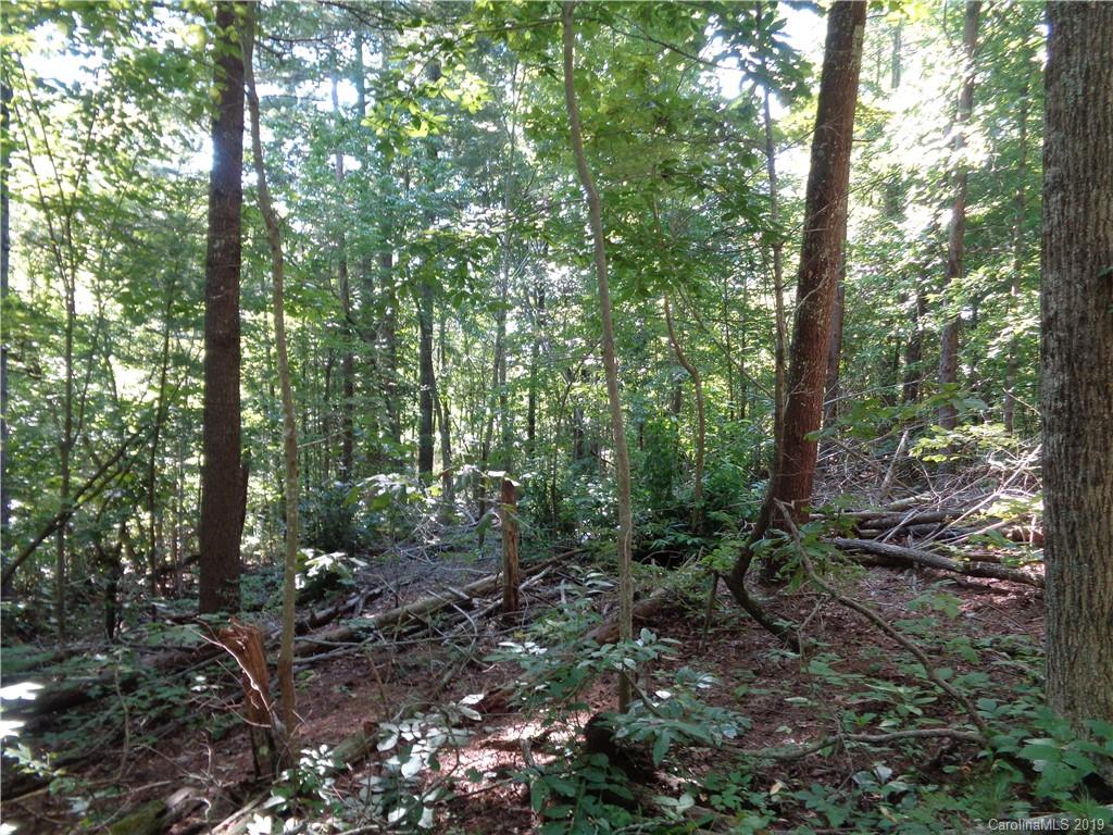 51 Morning Star Drive Leicester NC 28748