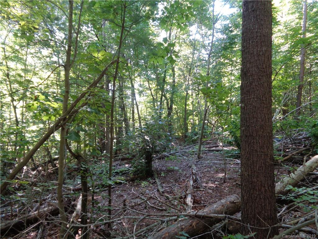 51 Morning Star Drive Leicester NC 28748