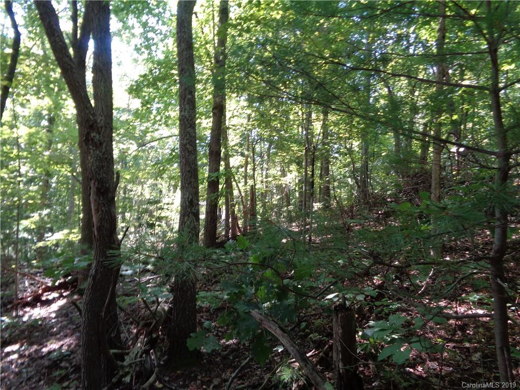 51 Morning Star Drive Leicester NC 28748